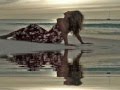 Annie Lennox - Why (TRADUÇÃO)