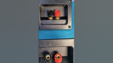 Trạm loa Nhật xịn dùng cho mỏ chim, càng cua, bắp chuối giá (450k)