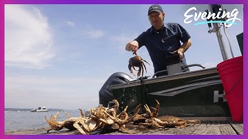 Discover the Dungeness crab fishing paradise along the Puget Sound