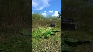 Download Lagu All-Terrain Mowing Machine OEM | Koham Built for Every Field #AllTerrain #OEMMower MP3