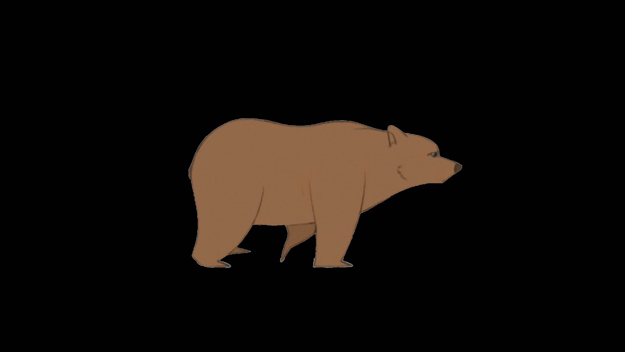 Slowly approaching bear