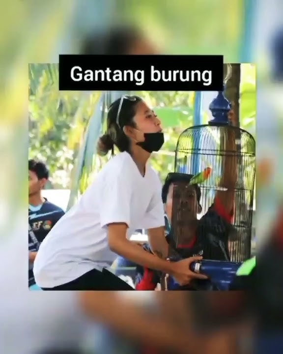 story cewek kicaumania #shorts