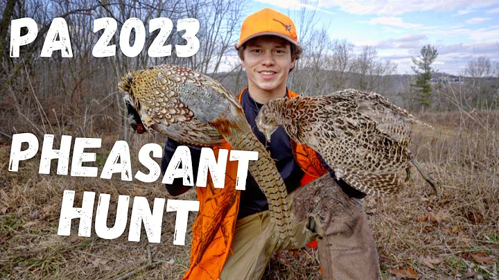 PA Pheasant Hunt (LATE SEASON 2023)