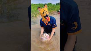 German Shepherd Dog Washes Helmet Cover to Help the Owner