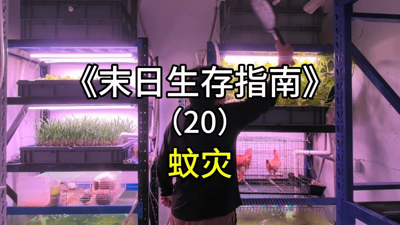 什么人会养蚊子咬自己啊#室内农场 #生态循环 #鱼菜共生 #沙雕日常 【刘惟与】