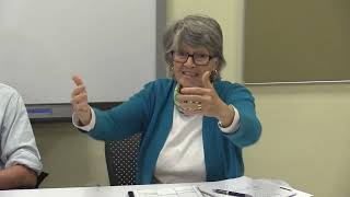 “It Changes Everything”: Citizens Warn of Data Center Impacts in Rural Virginia