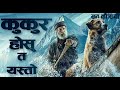 सबैभन्दा बफादार कुकुर Inspiring Journey of a Dog,The Call of Wild Explained in Nepali Raat ki Rani