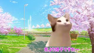 猫ミームテスト