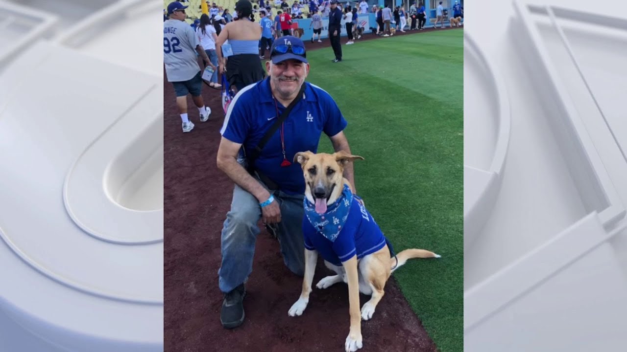 Dog named 'Dodger' steals the show after snagging home run ball in