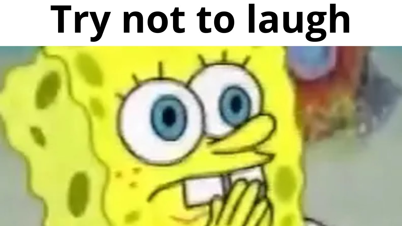 Try not to laugh at random meme videos from the internet. - YouTube