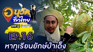 ตะลุยป่าเด็งหาทุเรียนยักษ์ บุกป่าหาปู 7 สี  | อนุวัตทั่วไทย | EP 16 | ข่าวช่องวัน | one31