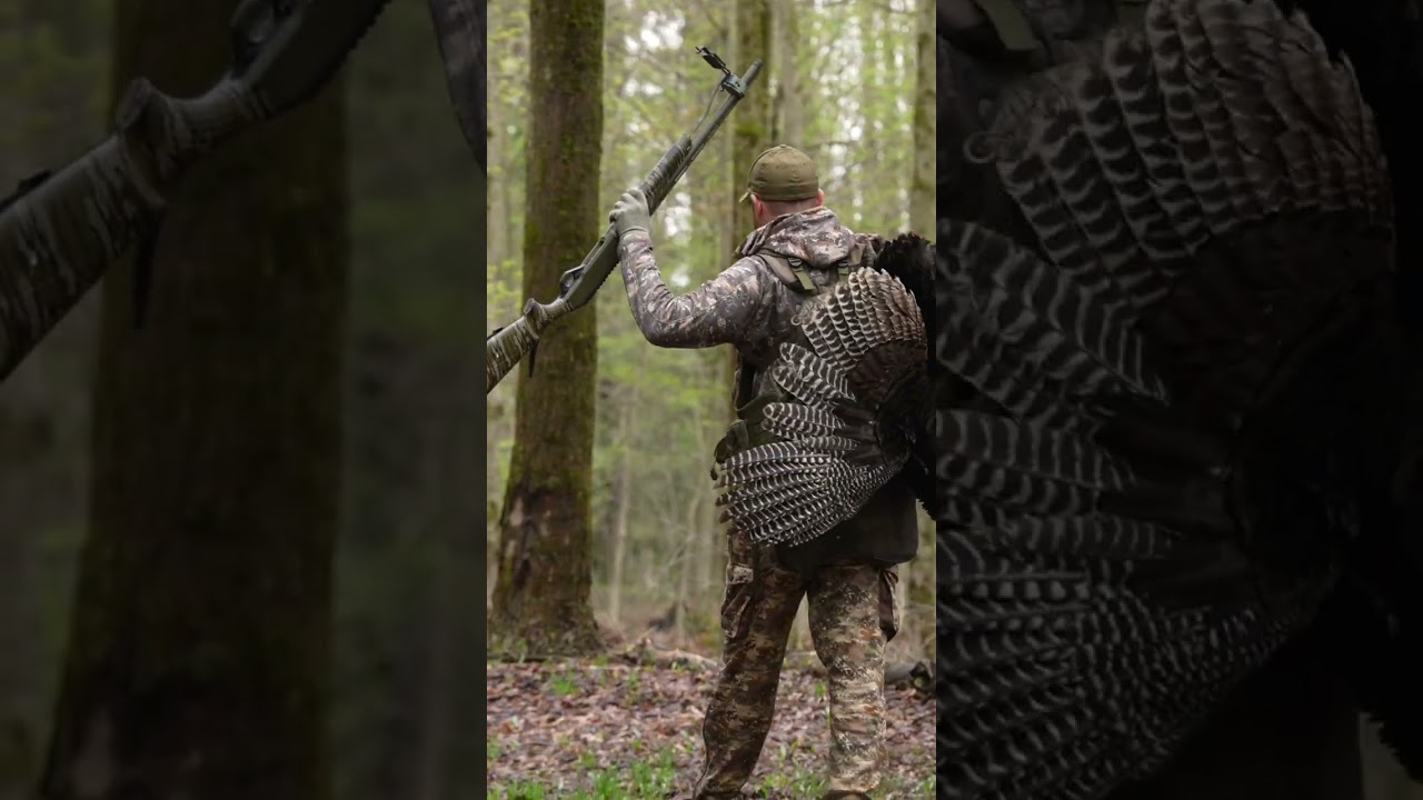Manifested Success: Hunter Bags Turkey in Epic Forest Walk! #shorts