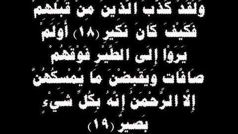 سورة الملك القارئ ابراهيم العسيري I قناة سلطان العواد