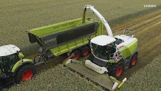 CLAAS | JAGUAR in whole crop silage.