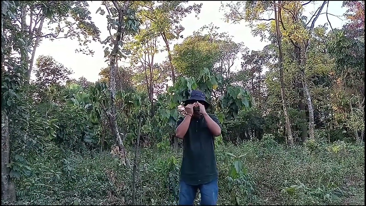 Bed of roses ( Bon Jovi) Harmonica  Cover