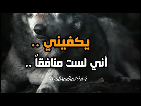 يكفيني أني لست منافقا