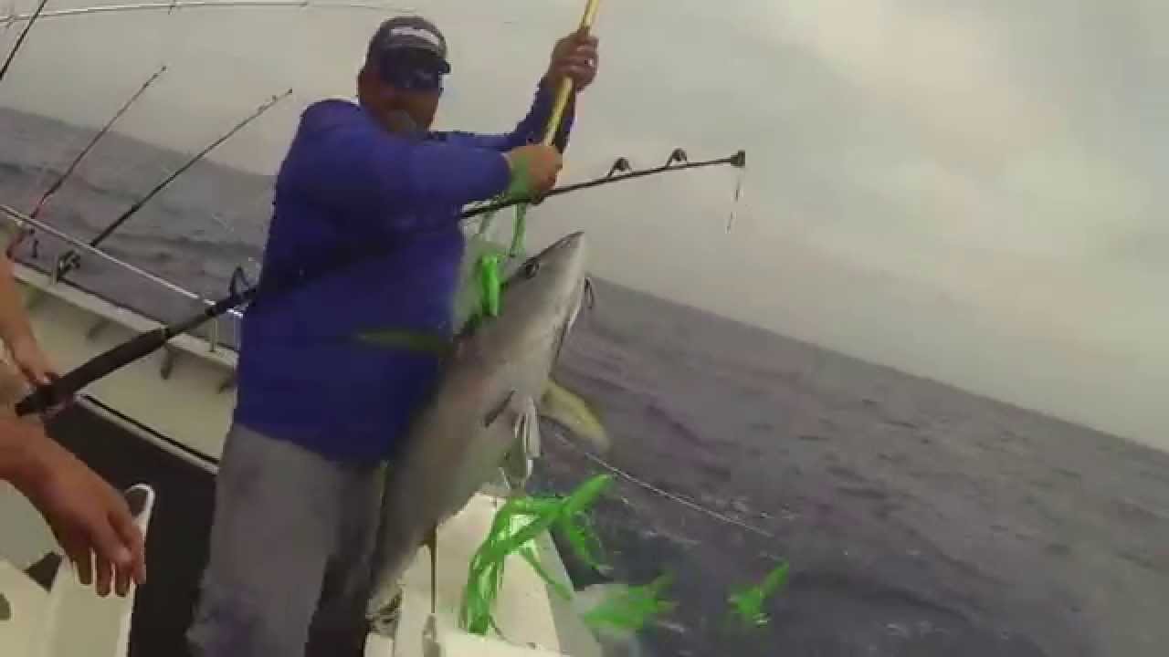 Tuna fishing, Ocean City,Maryland, June 15th,2015, Charter boat"That's