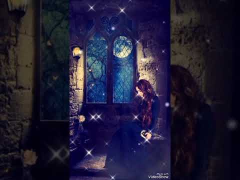 تهب يا رياح الحياة حمزة نمرة