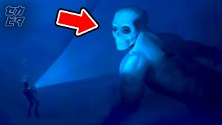 海底でダイバーが遭遇した恐るべき巨大生物３選