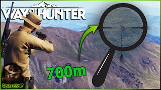 The MOST FUN You Can Have On Way Of The Hunter! long Range Chamois Hunting Transylvania Mountains! screenshot 5