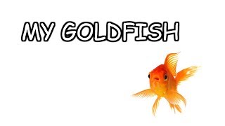 My Goldfish