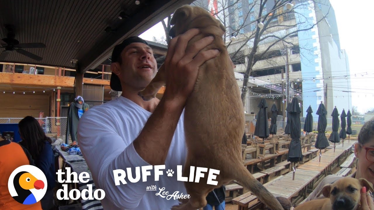 Asher Ruff Come Check Out this Extreme Dog Dad | Ruff Life With Lee Asher (Series ...
