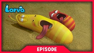 LARVA - QUICK SAND | Larva Cartoon | Cartoons For Children | LARVA Official