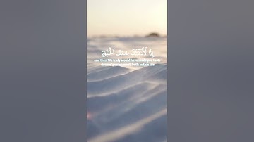 سورة الإسراء الآية 74 و 75 بصوت القارئ محمد الفقيه