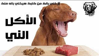 الاكل الني للكلاب / اضرار اللحمة النيه للكلاب / فوائد الفراخ النية للكلاب / سامر غازي