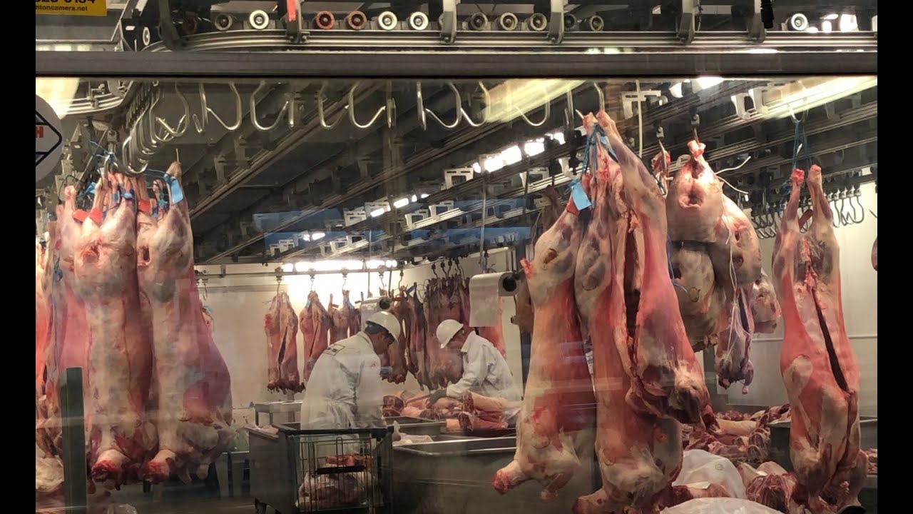 Wholesale Meat Market In London YouTube Wholesale Meat Market In London YouTube