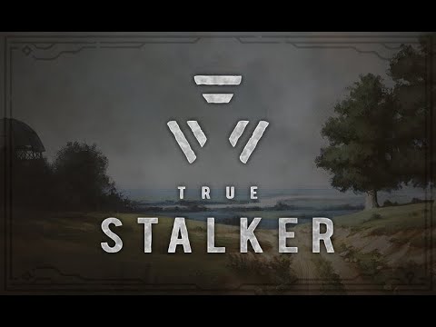 Видео: True Stalker прохождение Истинный СТАЛКЕР #сталкер #