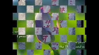 Download lagu Amituofo! 阿弥陀佛！(四字五音)