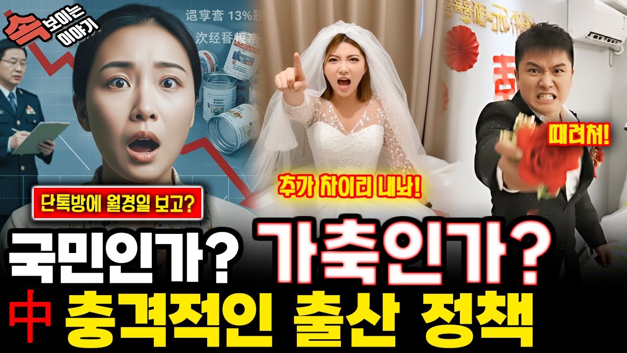 중국반응 l “단톡방에 월경일 보고하라”… 중국의 충격적인 출산 정책