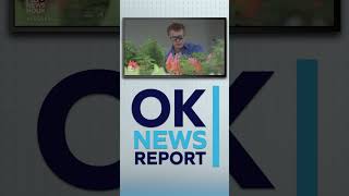 What Would Ending Oklahoma’s Medical Marijuana Industry Mean? | Oklahoma News Report | Fri at 7 PM