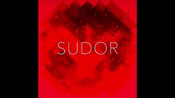 SUDOR, Minimal music,  ethnic electronic music, afro , made with Tempest by Dave Smith Instruments