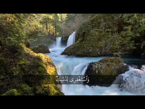 و ر و د ت ه ٱل ت ی ه و ف ی ب ی ت ه ا ع ن ن ف س ه ۦ