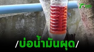 ชาวบ้านท้าพิสูจน์ บ่อน้ำมันเบนซิน ผุดขึ้นอีก | 27-02-63 | ข่าวเช้าหัวเขียว