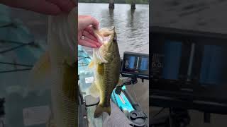 Post Tournament Bassmaster Kayak Series Caddo Lake April 18-19, 2026 | Breakdown + Garmin ECHOMAP