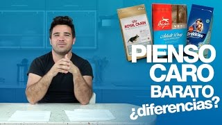 ¿Hay diferencia entre un pienso barato y uno caro?