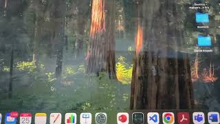 Macbook 19 on Mac os 15.0.1 display flickering