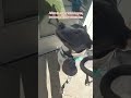 Catlyn Freedom Video