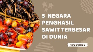 5 NEGARA PENGHASIL KELAPA SAWIT TERBESAR DI DUNIA !!!