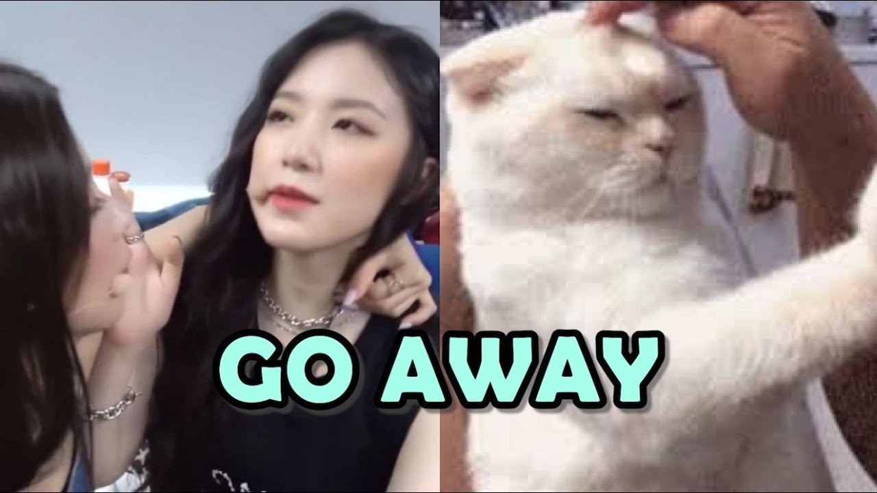 (G)I-DLE mishu │ whipped cat owner and her tsundere cat's love story