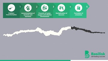 Infographic Basilisk Self-Healing Concrete EN