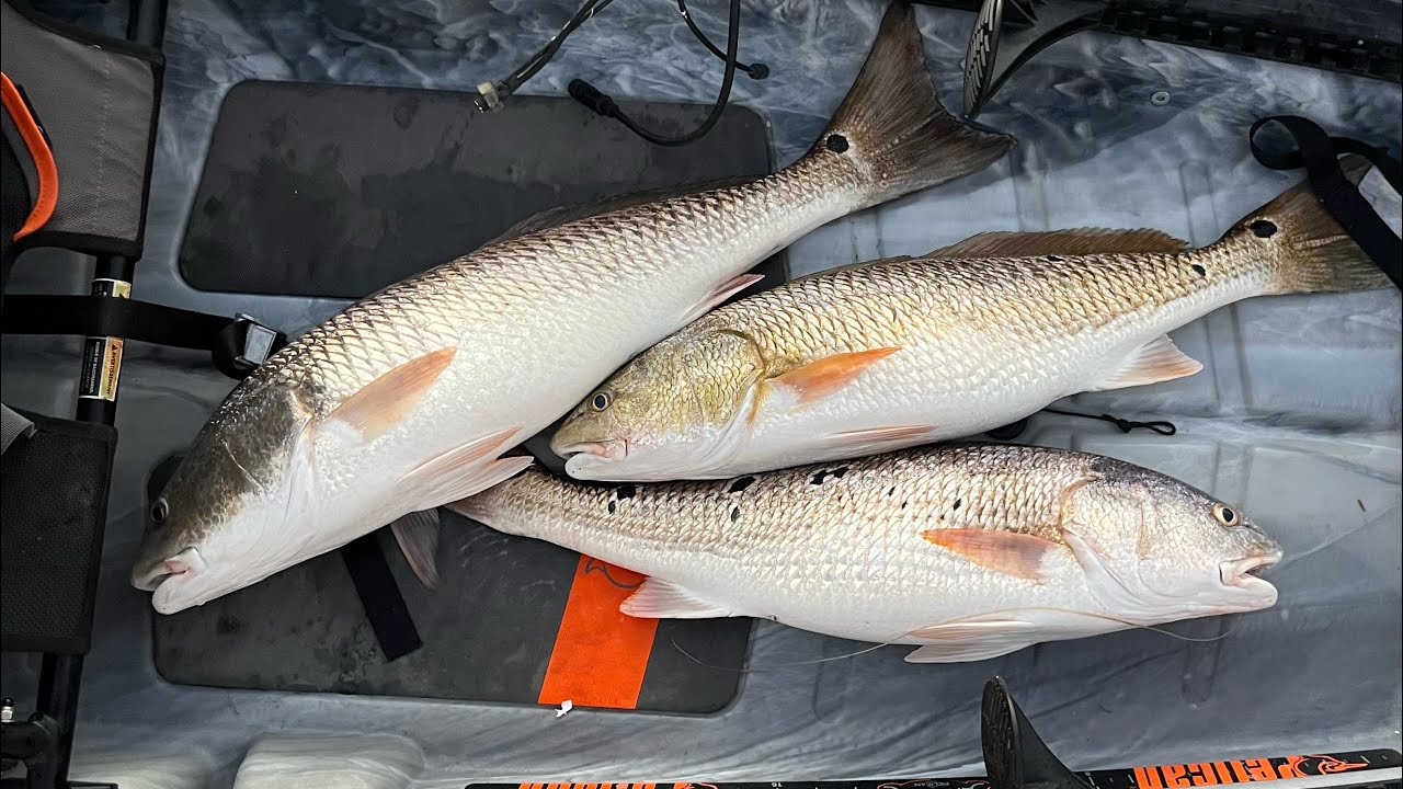 Каякинг на озере Калаверас для ловли огромного морского окуня