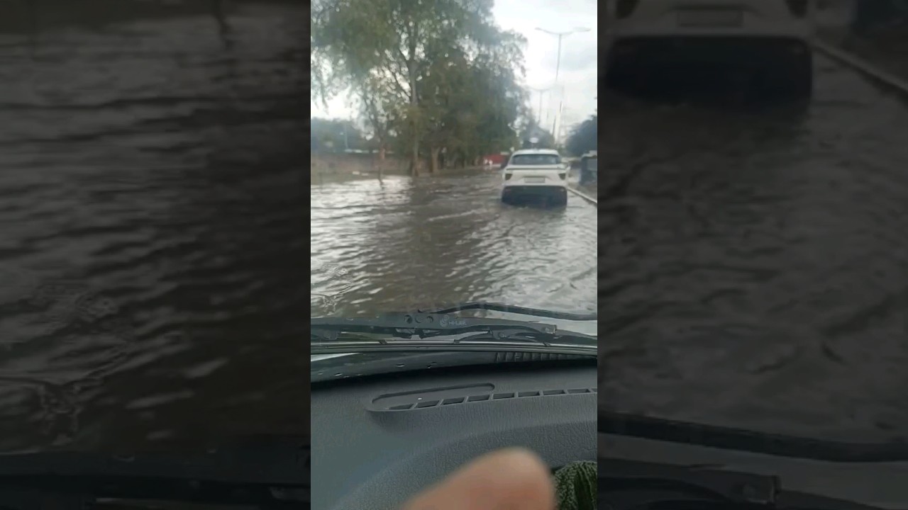 Heavy Rainfall Chandigarh☔️🌧💚