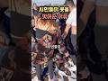시민들이 옷을 벗어준 이유