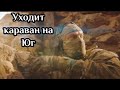 Уходит Караван На Юг | СИРИЯ - КЛИП 2021