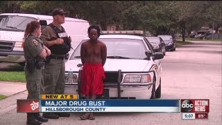HCSO raids two homes, make major drug bust in Hillsborough County