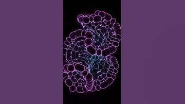 Kaleidoscopic Fractal Vortex Animation #shorts #fractal